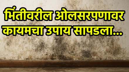 Permanent solution for damp walls