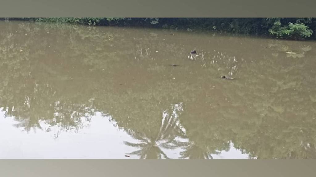 chemical waste dumped near uchcheli lake