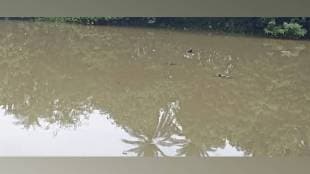 chemical waste dumped near uchcheli lake