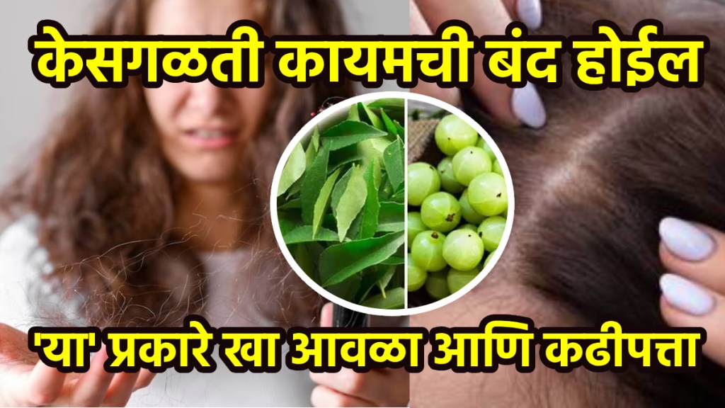 How Amla And Curry Leaves Can Give You Long Black Hair You Have Been Desiring Haifall home remedies