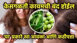 केसगळती कायमची बंद होईल; फक्त दररोज सकाळी ‘या’ प्रकारे करा आवळा आणि कढीपत्त्याचं सेवन
