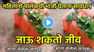 Shocking video of unhealthy palak vegetables selling in market with chemical
