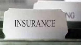 insurance