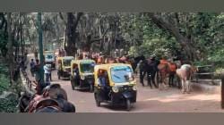 माथेरान मधील घोड्यांमध्ये डोळ्यांच्या संसर्गाची साथ; पशुसंवर्धन विभागाकडून घोड्यांची तपासणी सुरू