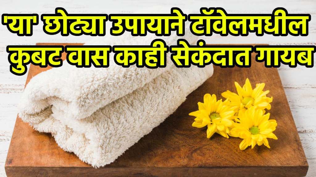 Clean kitchen towel