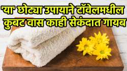 सतत धुऊनही स्वयंपाकघरातील टॉवेलमधून दुर्गंध येतोय? ‘या’ उपायाने टॉवेल होईल नव्यासारखा चकाचक