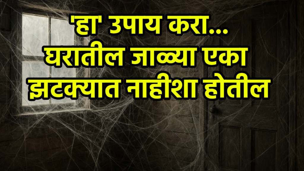 How do I permanently remove spider webs from my house How do I permanently remove spider webs from my house