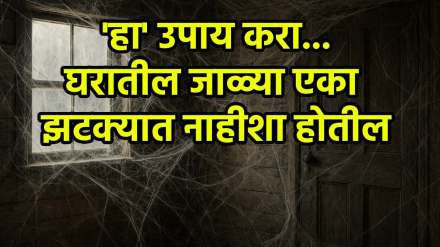 How do I permanently remove spider webs from my house How do I permanently remove spider webs from my house