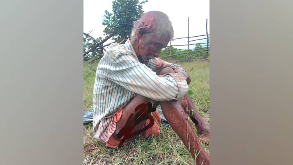 gadchiroli tiger attacked 76 year old man who bravely fought back and chased tiger away