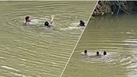 Wildlife guards and villagers saved woman who attempted suicide in indrayani river