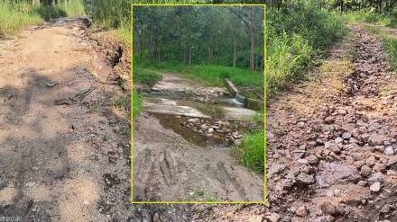 pench tiger reserve news