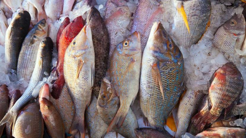 Foods Not To Cook In Pressure Cooker