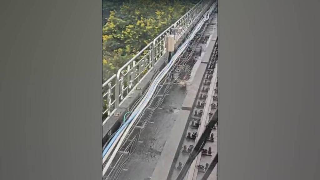 nagpur wild animals enter on the metro tracks