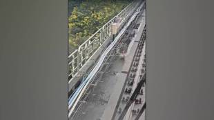 nagpur wild animals enter on the metro tracks