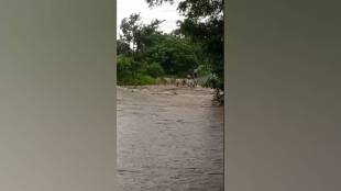 heavy rains again hit akola and washim causing floods