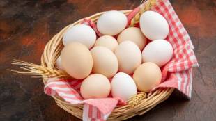20 vegetarian foods that have more protein than 1 egg