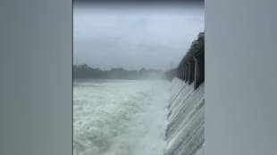 heavy rain Jayakwadi dam floods water