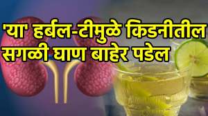 किडनी कधीच खराब होणार नाही, ‘हे’ पाच हर्बल-टी प्यायाल्याने किडनीतील सगळी घाण बाहेर पडेल