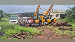 forest department action against teak tree theft in Kurne ​​lanja taluka Eleven suspects arrested