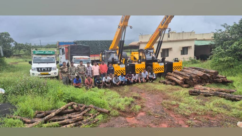 forest department action against teak tree theft in Kurne ​​lanja taluka Eleven suspects arrested