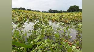 Buldhana Heavy rainfall and cloudburst rains occurring since the month of June