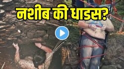 बापरे! सापांनी भरलेल्या विहरीत महिला पडली; ५४ तास भिंतीला होती चिकटून, शेवटी कसा वाचवला जीव? थरारक VIDEO व्हायरल