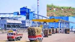 Sugar Factory : राज्यातील ऊस गाळप हंगामाबाबत मोठी अपडेट, साखर कारखाने कधी सुरु होणार? सरकारने सांगितली तारीख