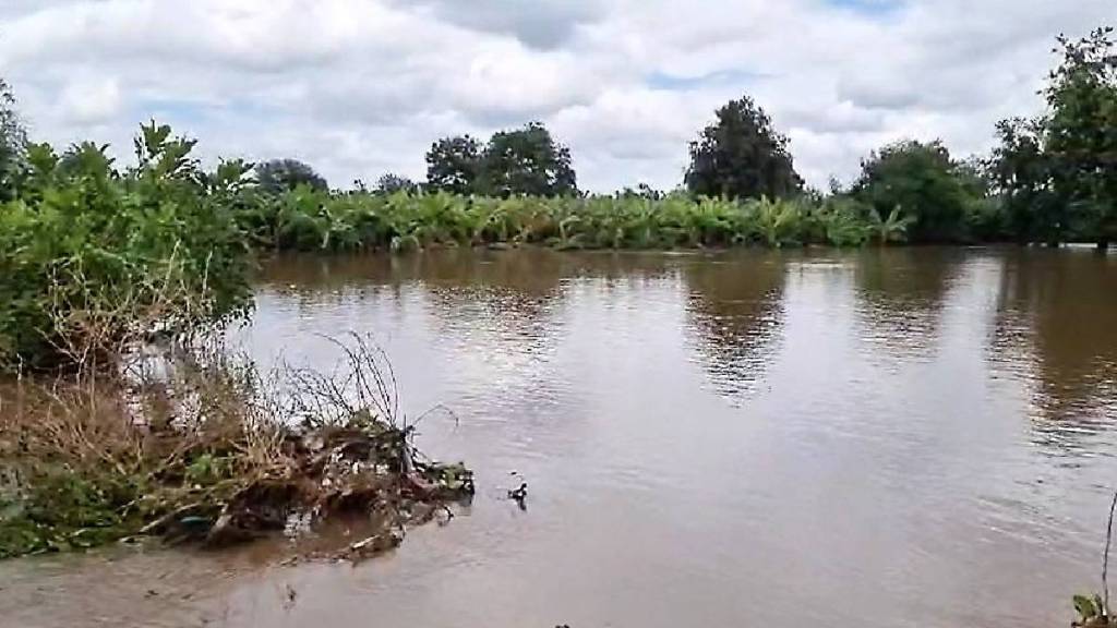 over 83 000 hectares of crops damaged due to heavy rains in Jalgaon