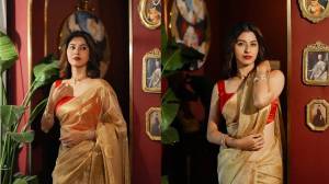 Photos : सोनेरी साडी, लाल ब्लाऊज; अभिज्ञा भावेचे ग्लॅमरस फोटोशूट तुम्ही पाहिले का?