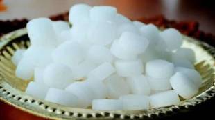 Camphor For Mosquito Prevention