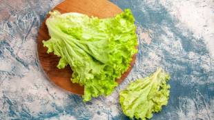 Lettuce benefits