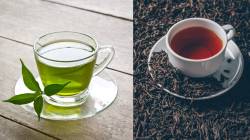 Green tea vs black tea: केसांच्या वाढीसाठी कोण आहे सर्वोत्तम? जाणून घ्या तज्ज्ञांचं मत