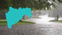 Maharashtra Rain News: आजपासून राज्यात मुसळधार पाऊस; ‘या’ भागात सर्वाधिक पाऊस, काय आहे हवामान विभागाचा अंदाज