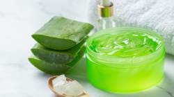 Aloe Vera Gel : चेहऱ्यावर महिनाभर रोज अ‍ॅलोवेरा जेल लावल्यास मिळतील ‘हे’ अनोखे फायदे