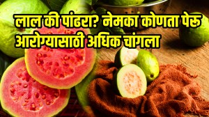 Martyr Agniveer Akshay Laxman Gawate