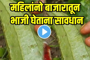 Shocking video of vegetables injected with chemicals video goes viral