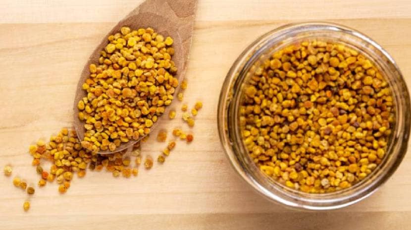 What should I eat if my B12 is low