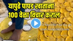 “फक्त जीव घ्यायचा बाकी ठेवलाय” तुम्ही रोज खाताय तो पापड कसा तयार केला जातोय पाहा; VIDEO पाहून पायाखालची जमीन सरकेल