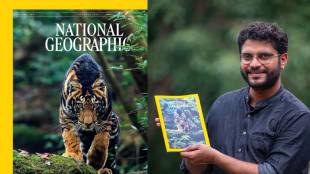 Odishas black tiger on National Geographic