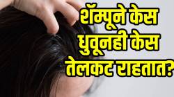 तेल-शॅम्पू बदलण्यापेक्षा ‘हे’ उपाय लक्षात ठेवा; केस होणार नाहीत अजिबात तेलकट…
