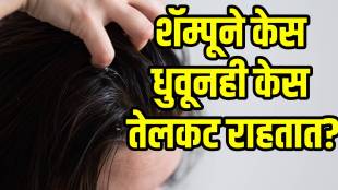 Oily Scalp & Home Remedies to Manage It