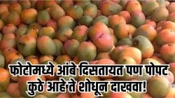 Optical Illusions: तुम्हाला फोटोमध्ये आंबे दिसतायत? पण यात एक पोपटही लपलाय; तुम्ही शोधू शकता का?