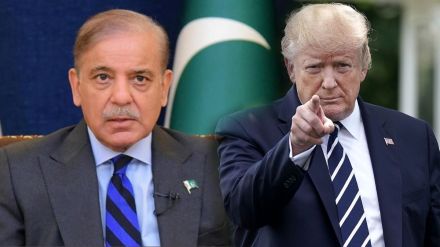 Pak PM Shehbaz Sharif hails Trump as peacemaker