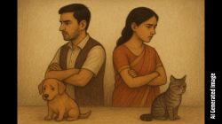 प्राणी मित्र पती-पत्नीचा प्राण्यांमुळच घटस्फोटासाठी अर्ज; घरातील कुत्र्या-मांजरीच्या भांडणामुळं वेगळं होण्याचा निर्णय