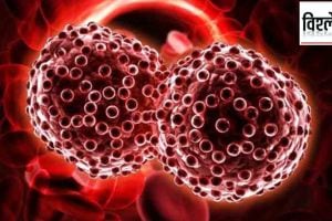 Priya Marathe Cancer Genetic Or Lifestyle Disease