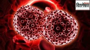 Priya Marathe Cancer Genetic Or Lifestyle Disease