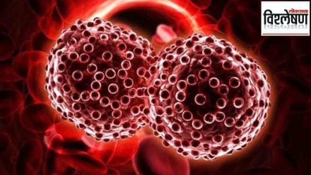 Priya Marathe Cancer Genetic Or Lifestyle Disease