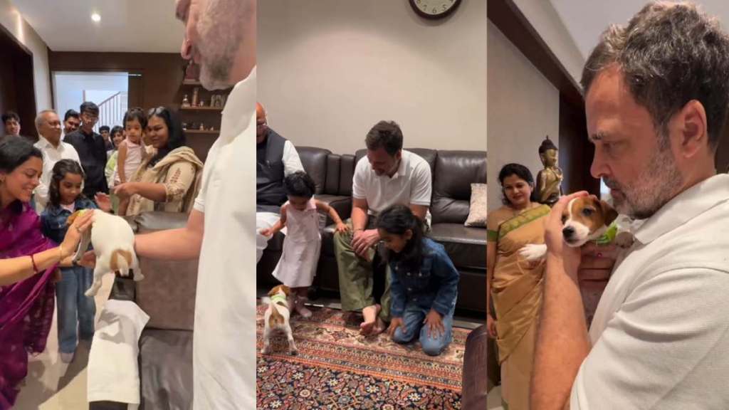 राहुल गांधी खर्गे यांच्या नातीला ही गोड भेट देतानाचा व्हिडीओ काँग्रेसने इन्स्टाग्रामवर शेअर केला आहे. (PC : bharatjodo/Insta)
