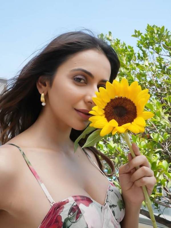 Rakul preet Singh in rose dress with sunflower glam look