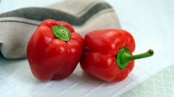 Healthy Living: लाल शिमला मिरची खाल्ल्याने होतात ‘हे’ आरोग्यदायी फायदे?